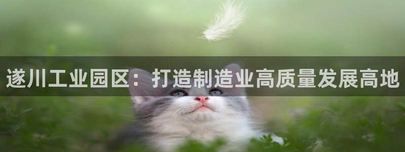 星欧娱乐还能玩吗：遂川工业园区：打造制造业高质量发展高地