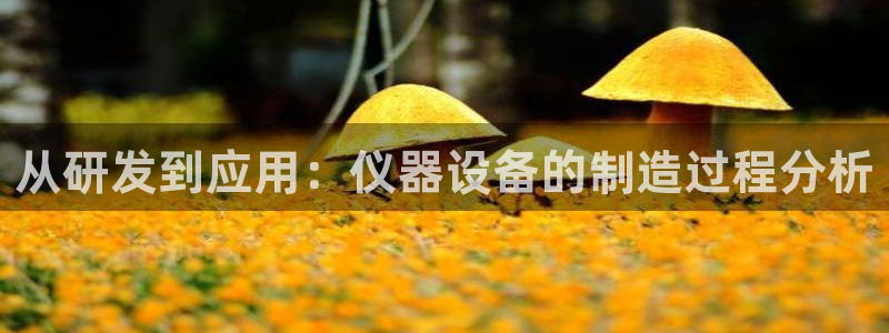 亚星娱乐欧瘫威sky133688：从研发到应用：仪器设备的制