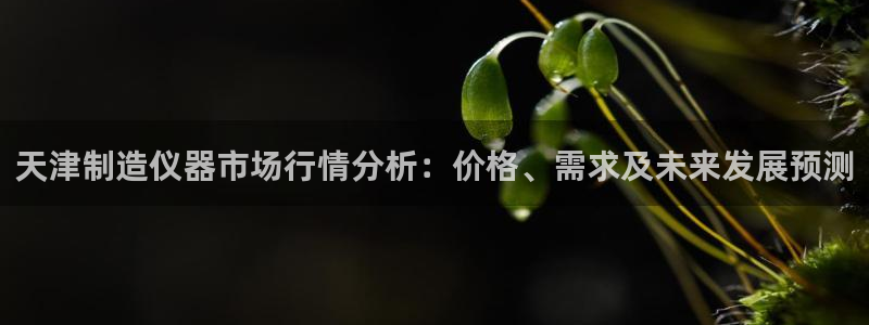 欧星娱乐 菲律宾：天津制造仪器市场行情分析：价格、需求及未来
