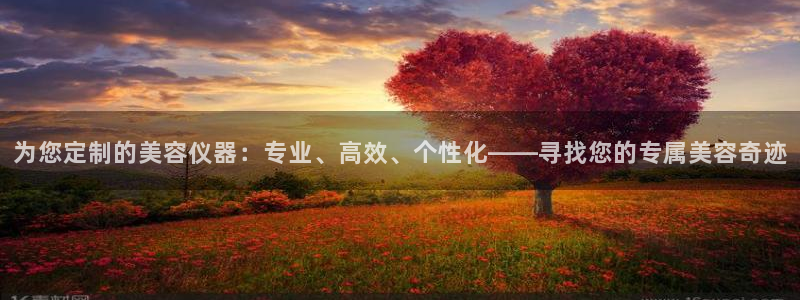 星欧娱乐招商：为您定制的美容仪器：专业、高效、个性化——寻找