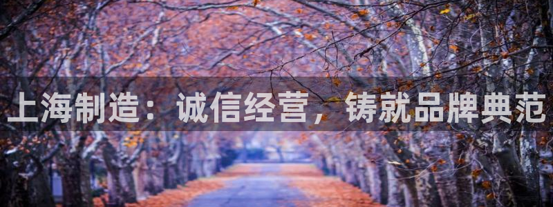 欧星娱乐网站：上海制造：诚信经营，铸就品牌典范