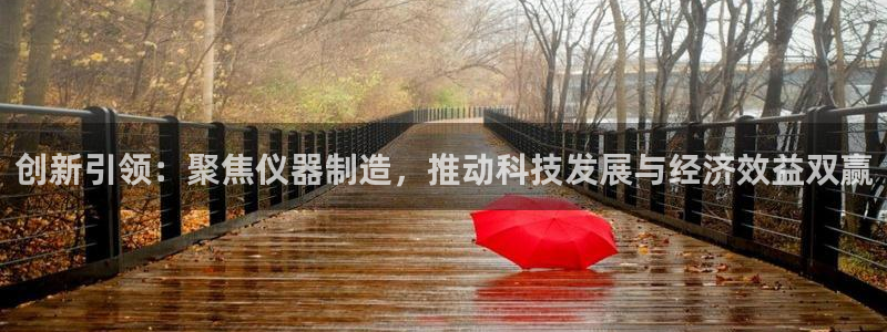 欧星娱乐游戏：创新引领：聚焦仪器制造，推动科技发展与经济效益