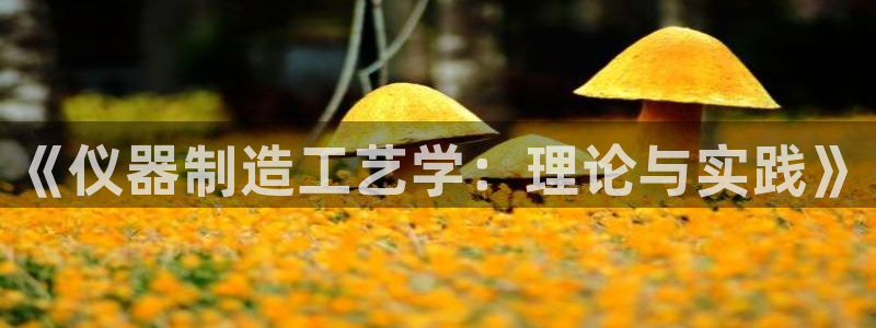 星欧娱乐在线注册：《仪器制造工艺学：理论与实践》