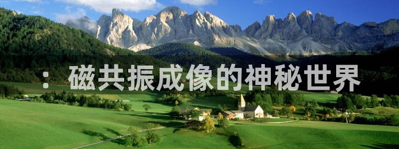 欧星娱乐棋牌官网：：磁共振成像的神秘世界