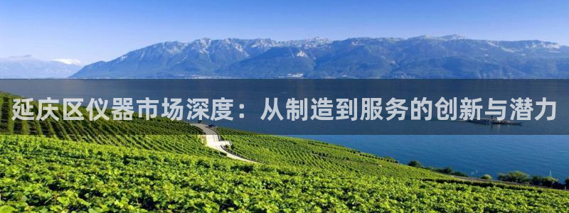 星欧娱乐经纪公司简介：延庆区仪器市场深度：从制造到服务的创新