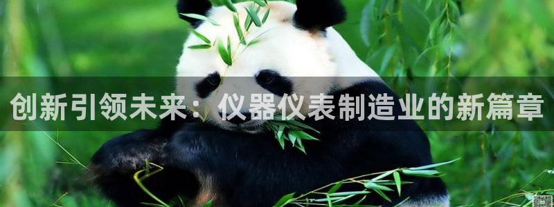 欧星娱乐城：创新引领未来：仪器仪表制造业的新篇章