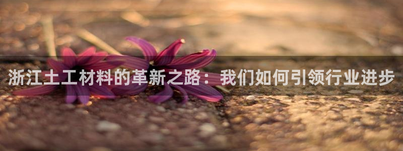 欧星线上娱乐：浙江土工材料的革新之路：我们如何引领行业进步