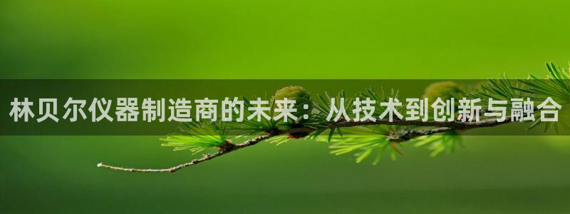 小西门欧乐星城娱乐项目：林贝尔仪器制造商的未来：从技术到创新