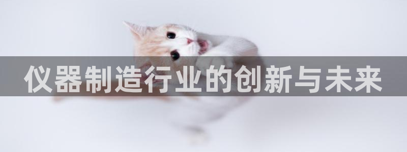 武汉欧汇星娱乐有限公司：仪器制造行业的创新与未来