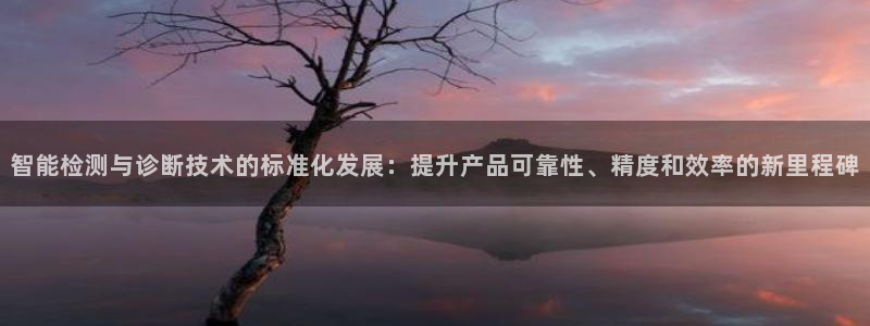 星欧娱乐官方客服电话：智能检测与诊断技术的标准化发展：提升产