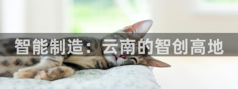 欧米星创文化娱乐：智能制造：云南的智创高地