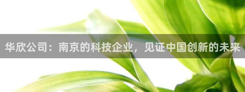 星欧娱乐官方网页版入口：华欣公司：南京的科技企业，见证中国创