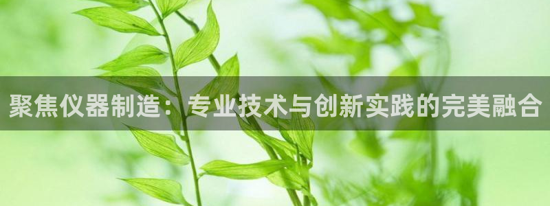 欧星线上娱乐：聚焦仪器制造：专业技术与创新实践的完美融合