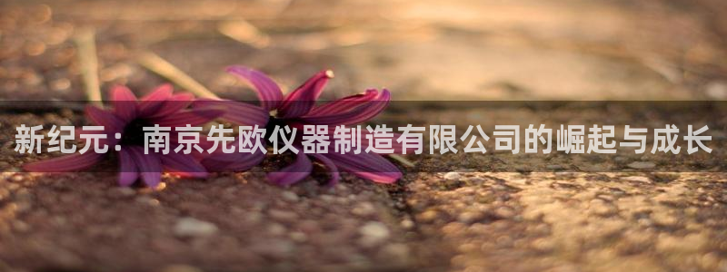 星欧娱乐注册章7O777：新纪元：南京先欧仪器制造有限公司的
