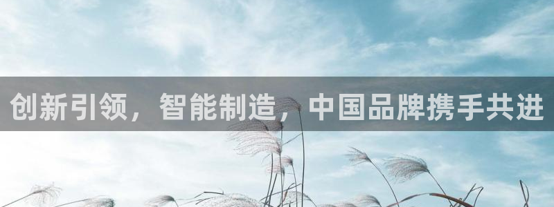 欧星娱乐的活动：创新引领，智能制造，中国品牌携手共进