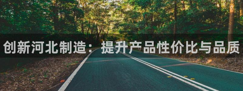星辉娱乐进入欧连杯了吗：创新河北制造：提升产品性价比与品质