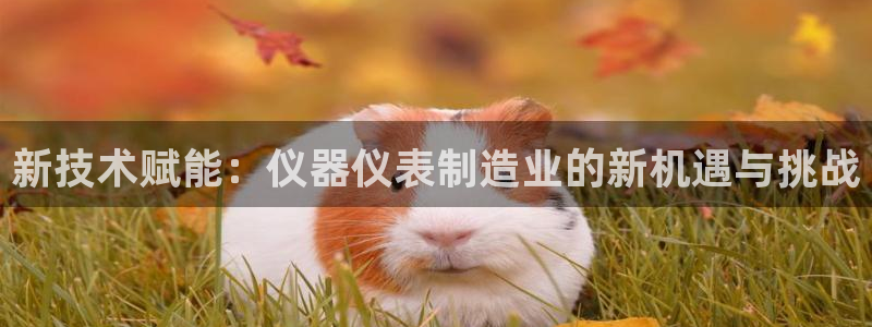 星欧娱乐老版本下载：新技术赋能：仪器仪表制造业的新机遇与挑战