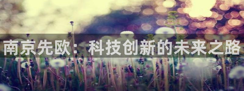 星欧娱乐官方客服：南京先欧：科技创新的未来之路