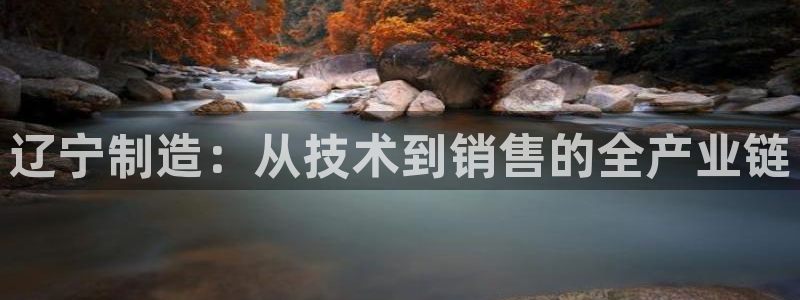 欧联杯正赛星辉娱乐：辽宁制造：从技术到销售的全产业链